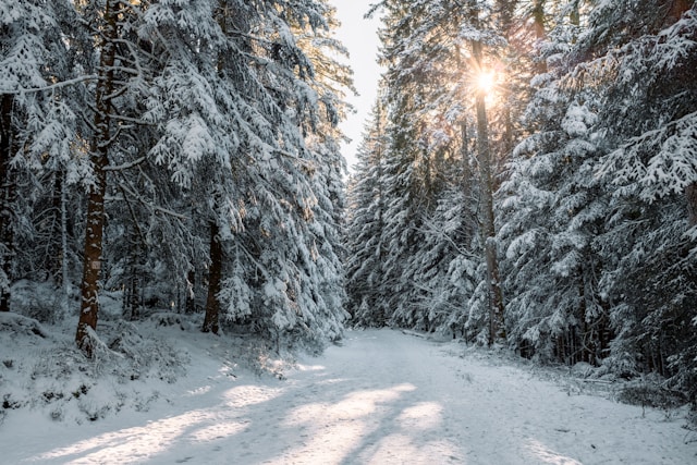 Impact Report: Providing Clean Water to Rural Communities